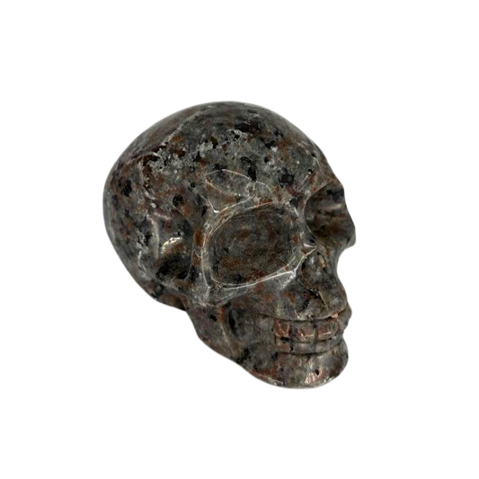 Yooperlite Skull $69.99