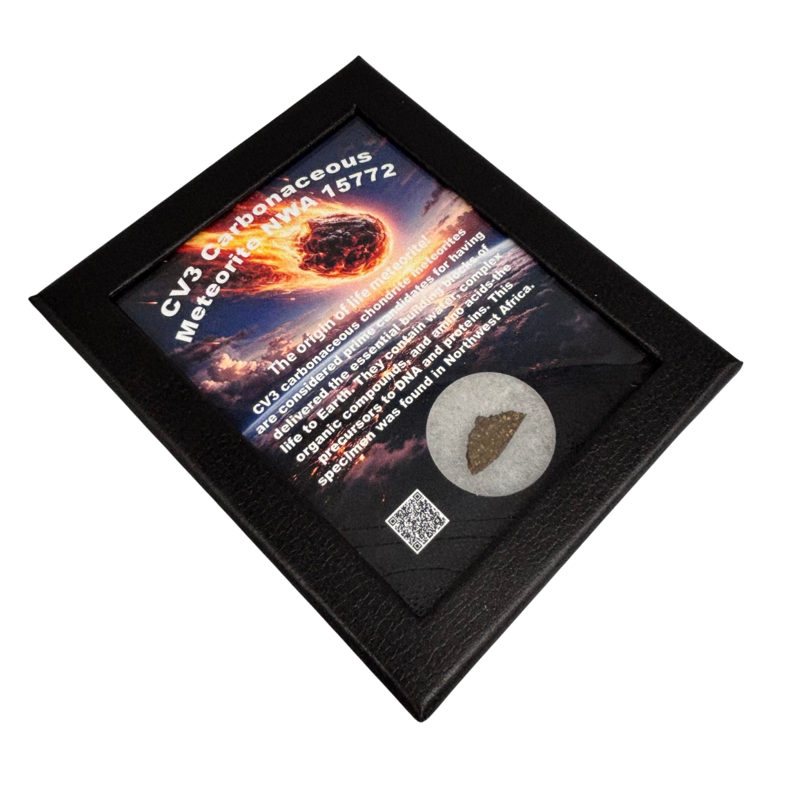 CV3 Carbonaceous Meteorite Box