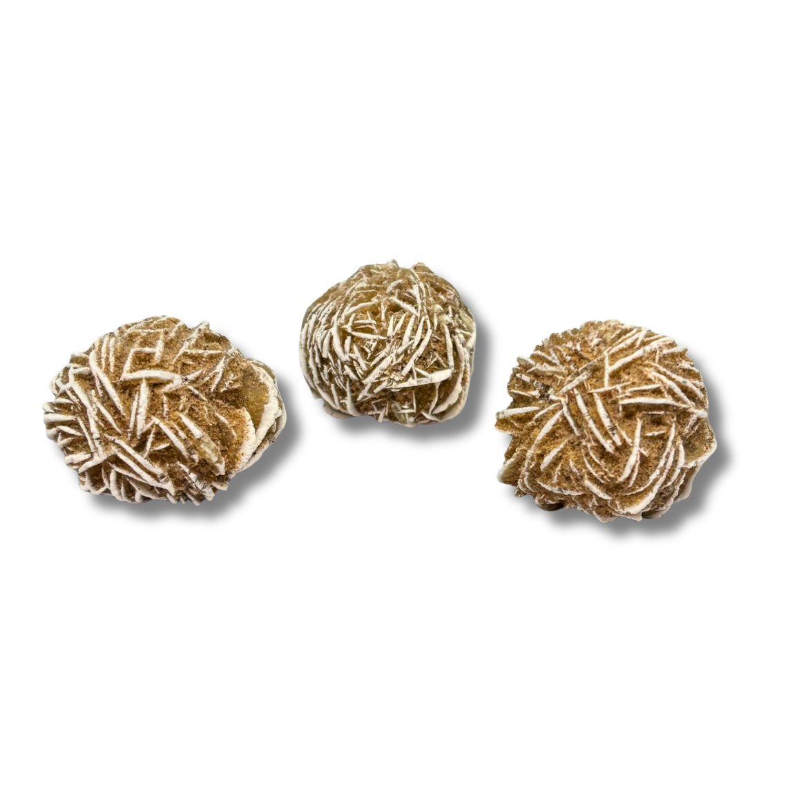 Desert Rose $6.99