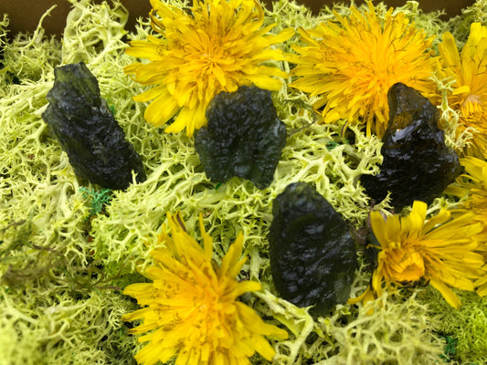 Genuine Moldavite | Rare Czech Meteorite Tektite