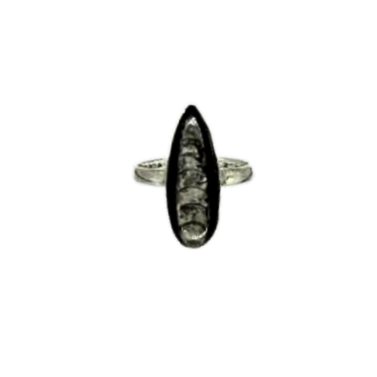 Orthoceras Ring