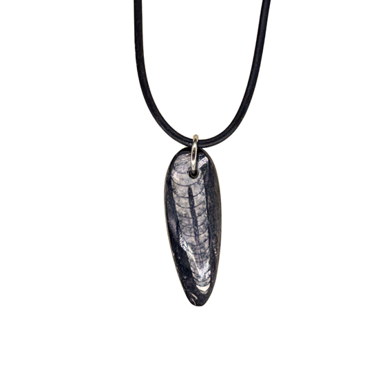 Orthoceras Necklace