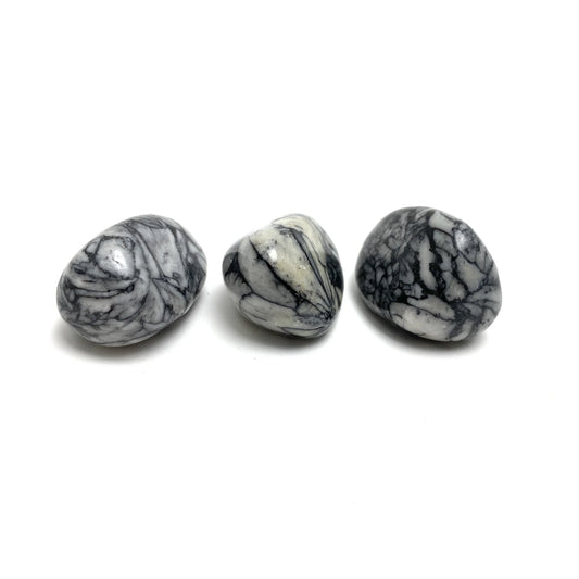 Pinolith $3.00