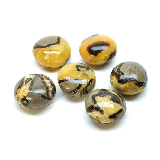 Septarian $8.00