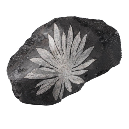 Chrysanthemum Stone $50.00