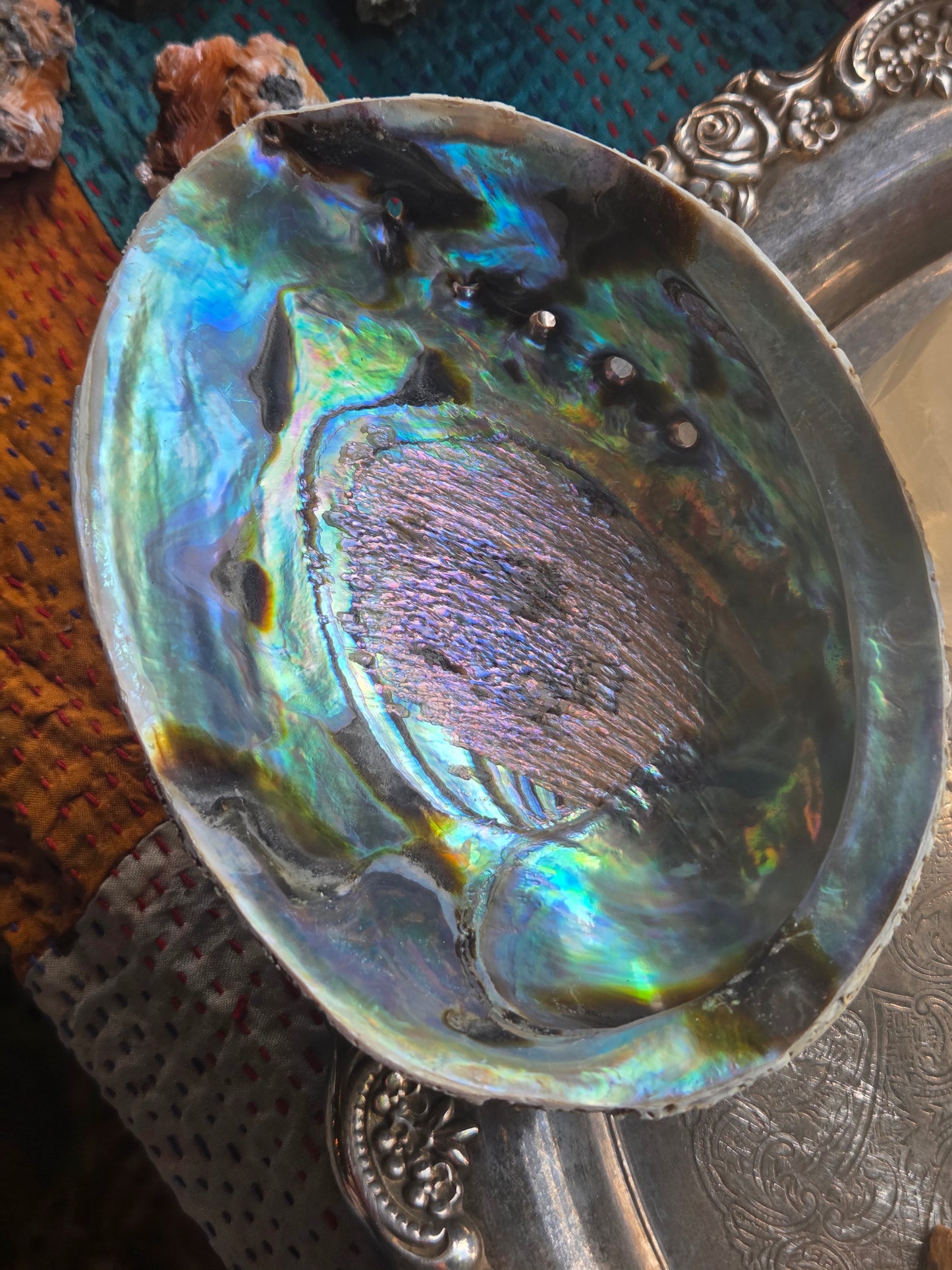 Abalone Shell Smudge Bowl (5β5.5β)
