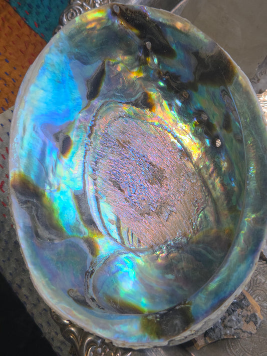 Abalone Shell Smudge Bowl (5–5.5”)