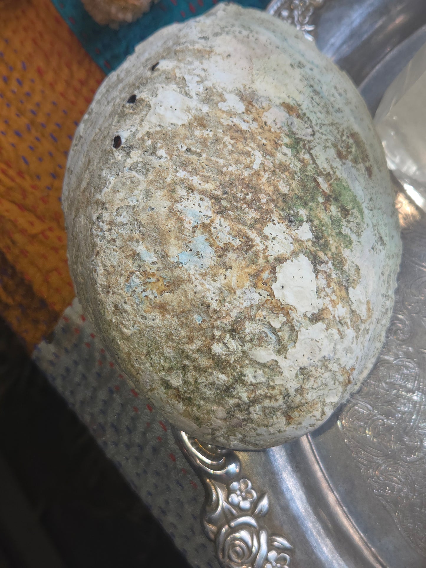Abalone Shell Smudge Bowl (5β5.5β)