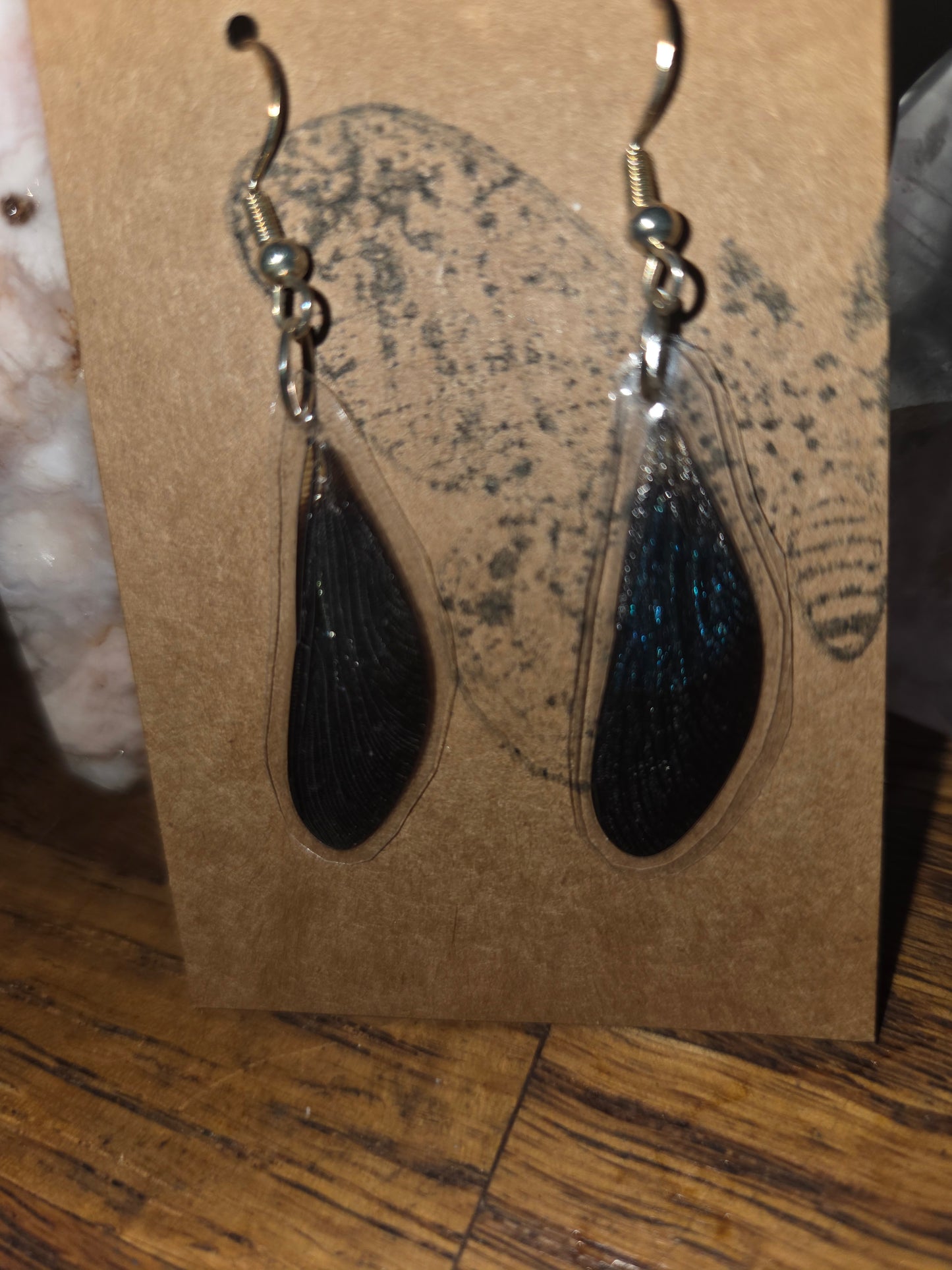Moonlight Moth Real Dragonfly Wing Earrings – Ethically Collected & Handmade
