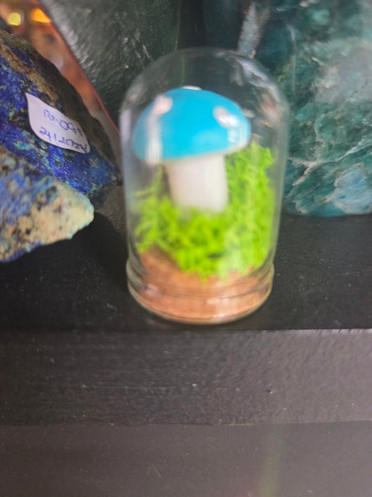 Mini Terrerium