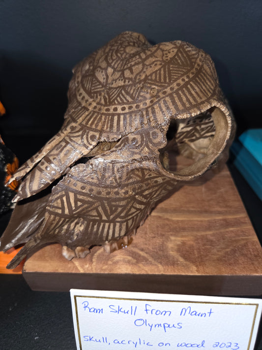 Shamanic Skull & Bone Art – Hand-Painted Guardians by Allyson Reed