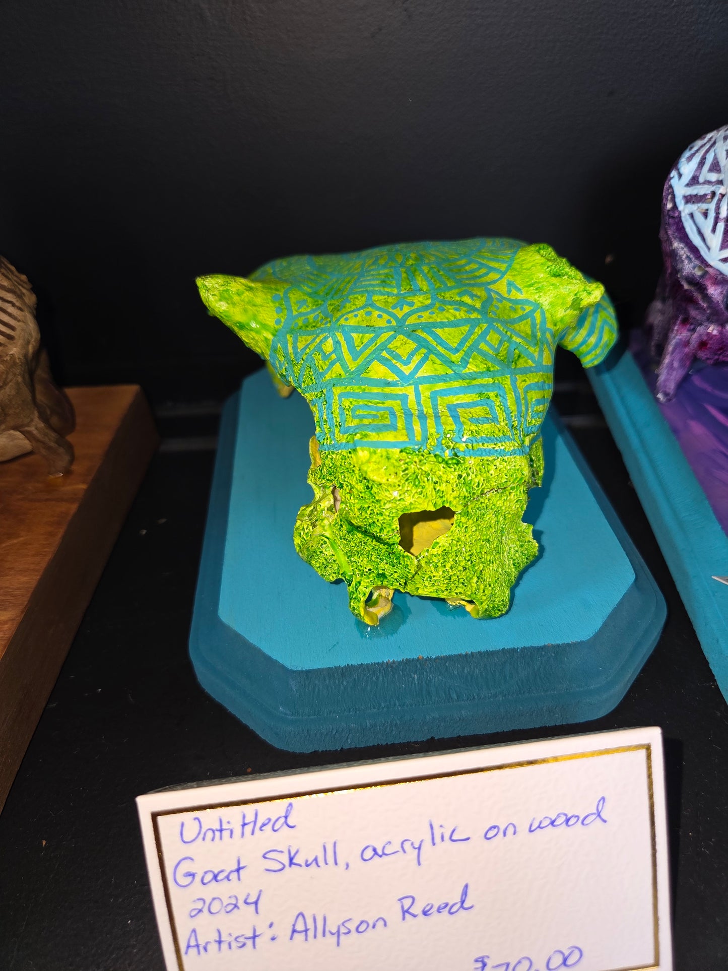 Shamanic Skull & Bone Art – Hand-Painted Guardians by Allyson Reed
