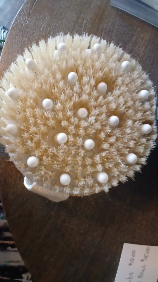 Lymphatic System Dry Brush