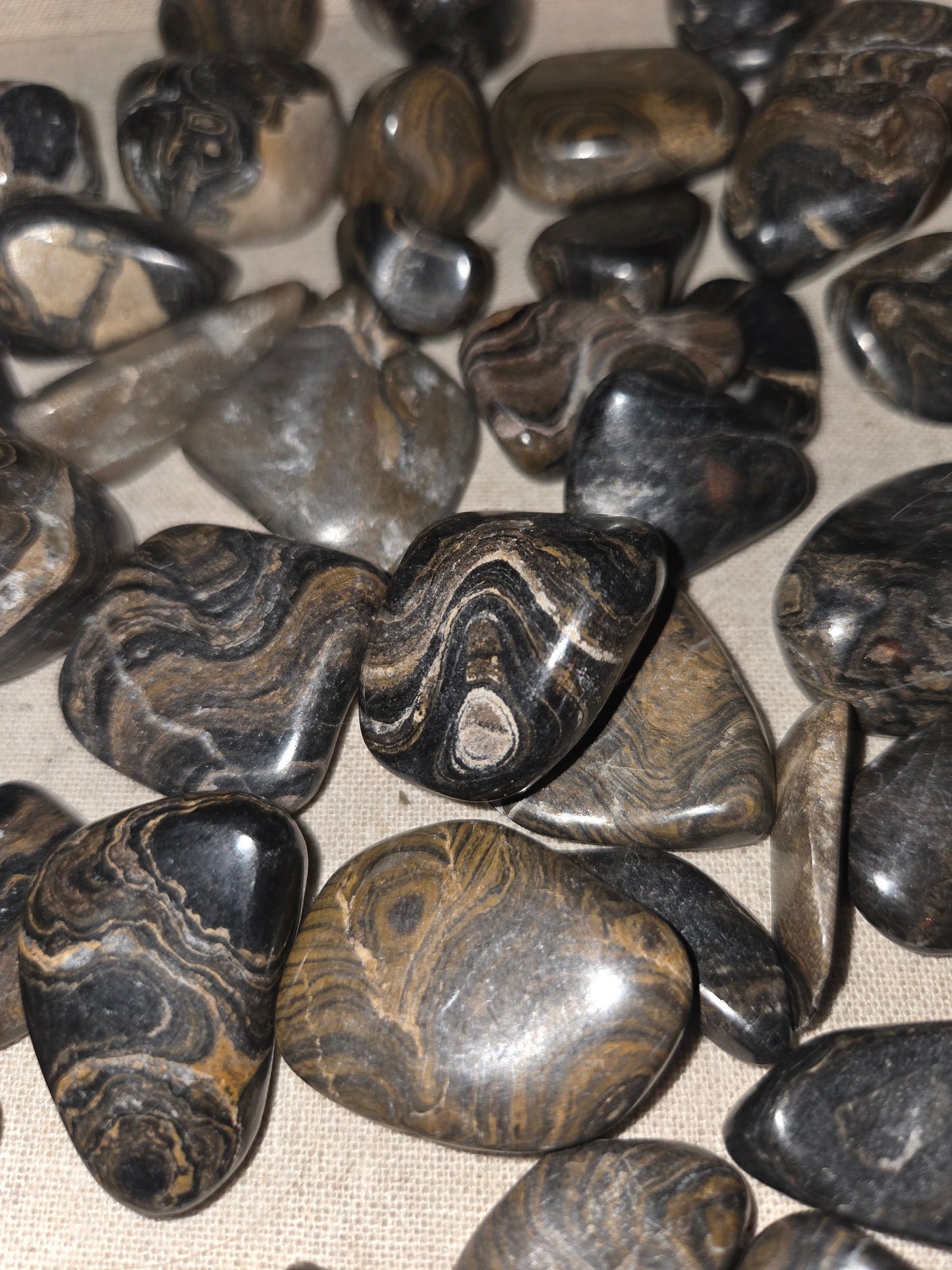 Peru Stromatolite Tumbles – Ancient Fossil Wisdom for Grounding & Transformation