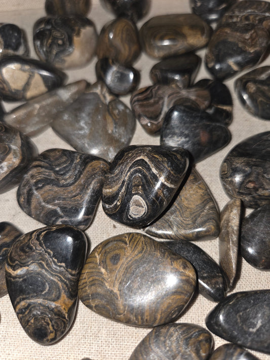 Peru Stromatolite Tumbles – Ancient Fossil Wisdom for Grounding & Transformation