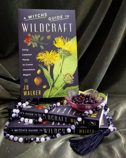 A Witch's Guide to Wildcraft USED!! CONDITION VERY GOOD