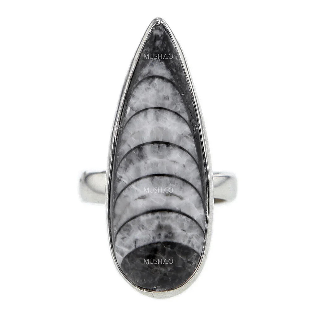 Orthoceras Ring