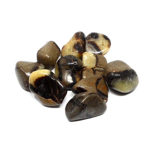 Septarian $3.00