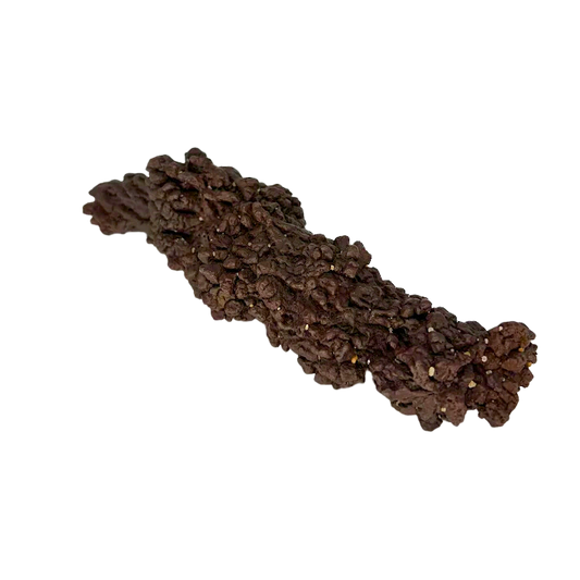 Giant Coprolite