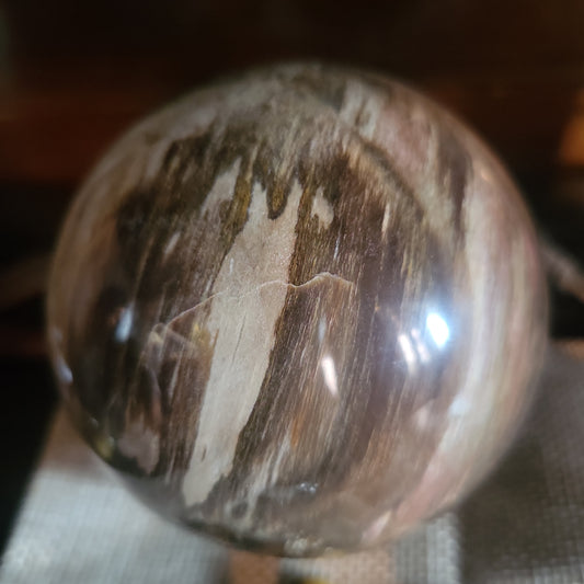 Petrified Wood Sphere