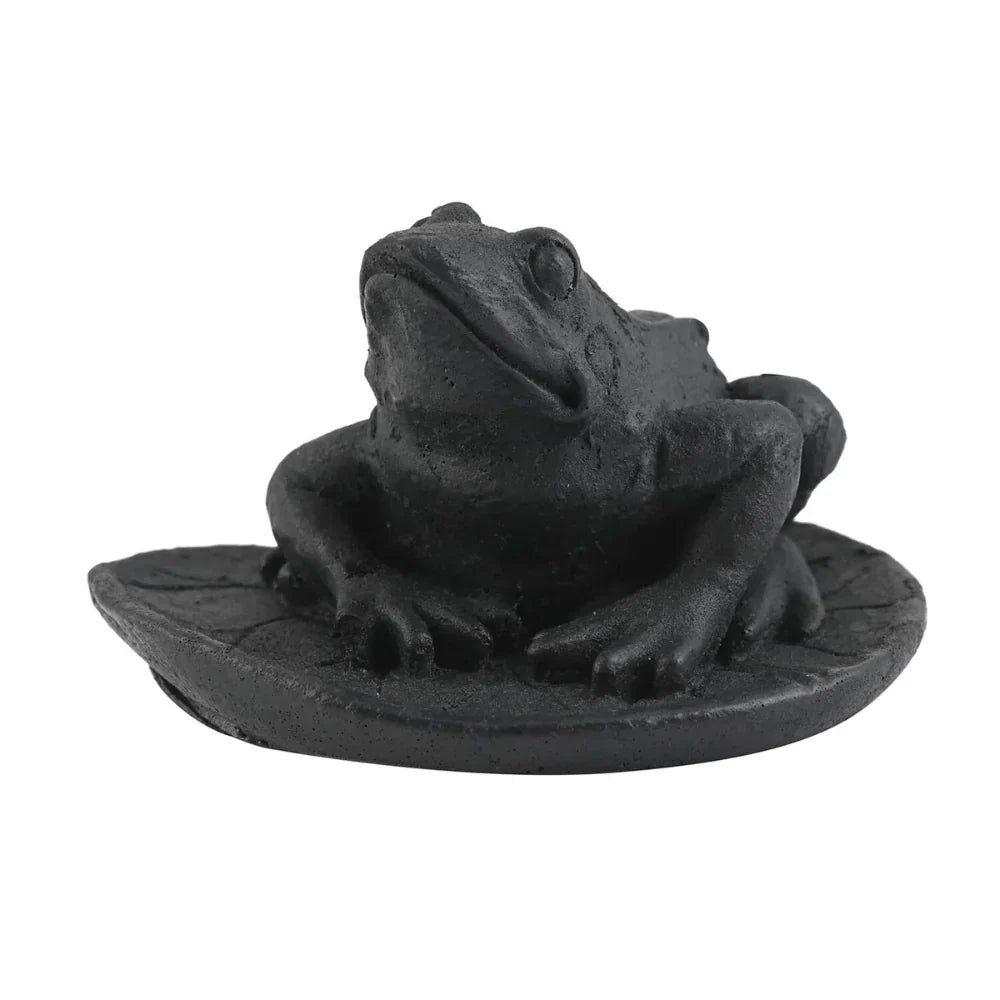 Shungite Frog