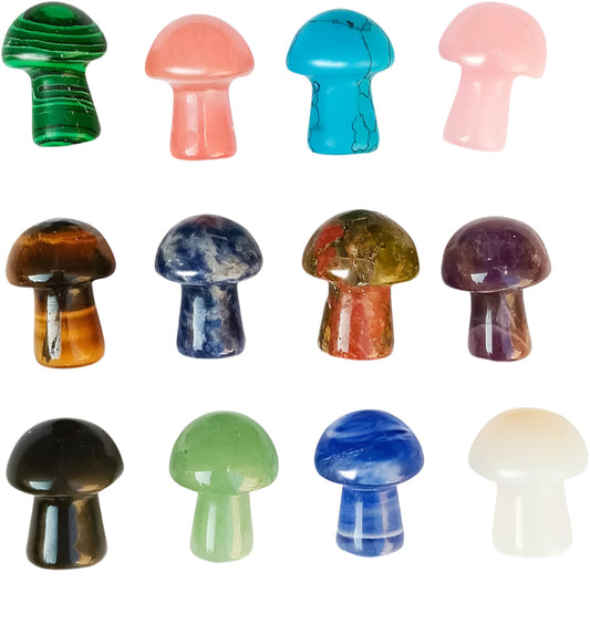 Gemstone Mushroom $6.00