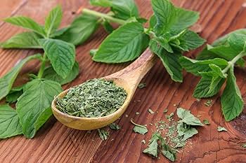 Spices & Herbs – For Ritual and Spell Work -- by Moon Water Apothecary!