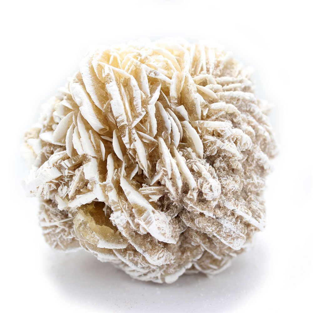 Desert Rose $3.00