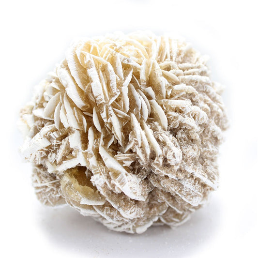 Desert Rose $3.00