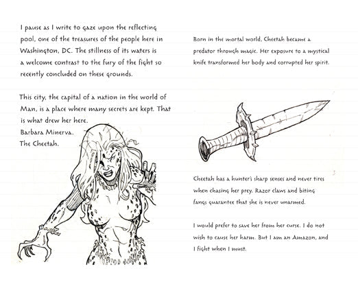 Wonder Woman Ruled Pocket Journal