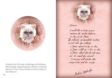 The Art of Harry Potter: Mini Book of Graphic Design