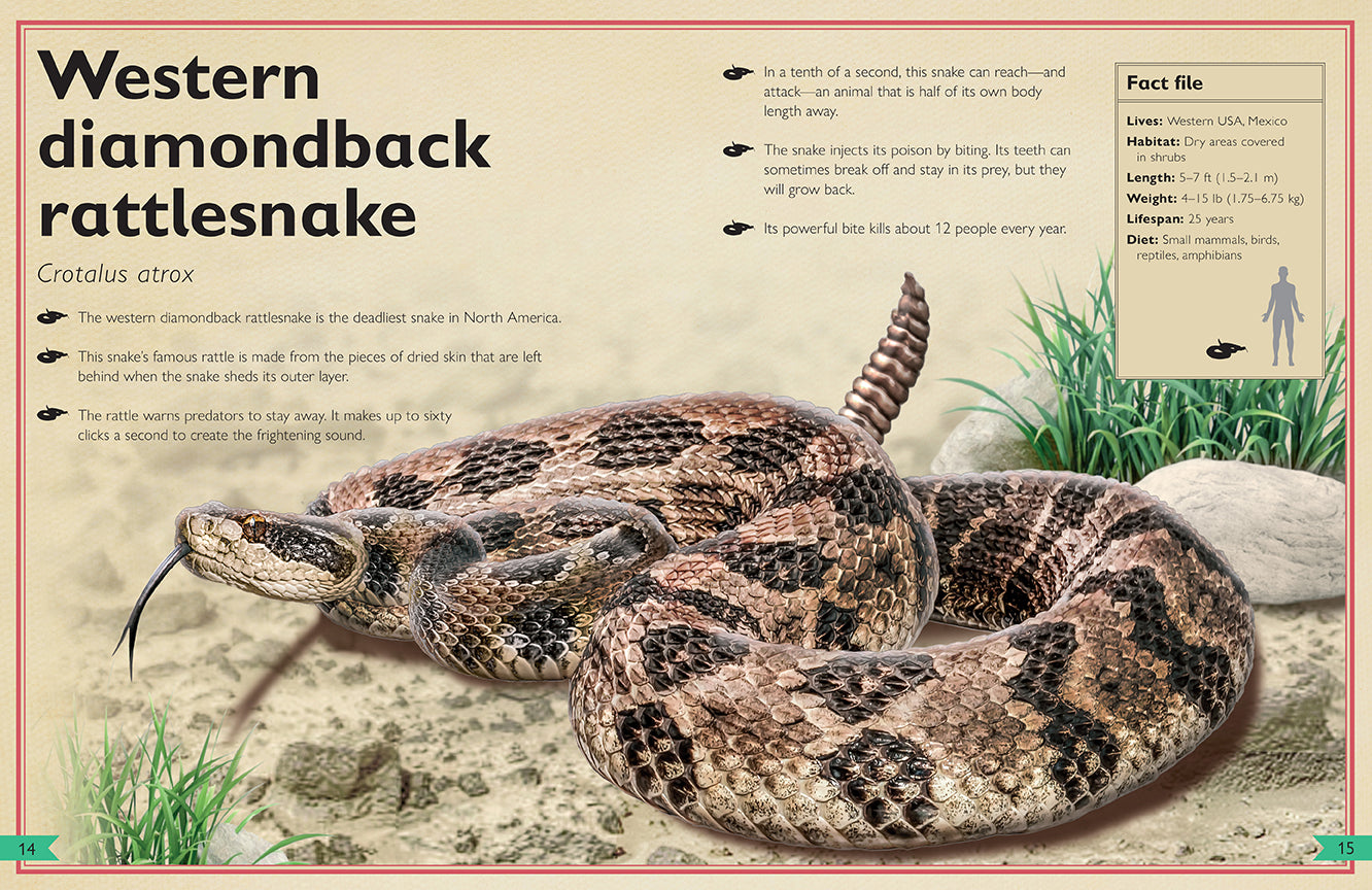 The Magnificent Book of Dangerous Animals