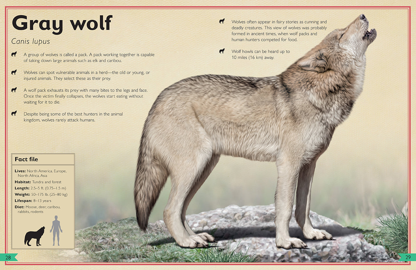 The Magnificent Book of Dangerous Animals