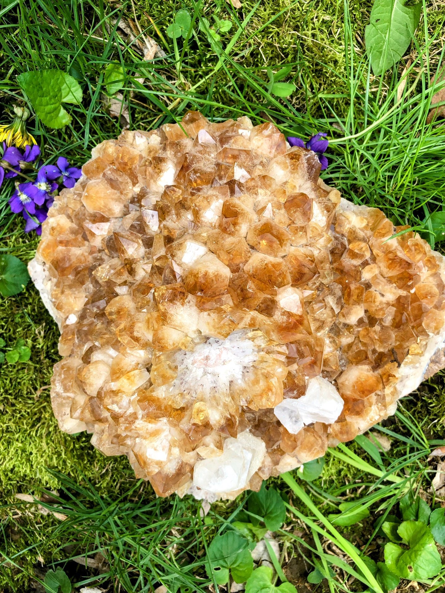 Citrine Cluster