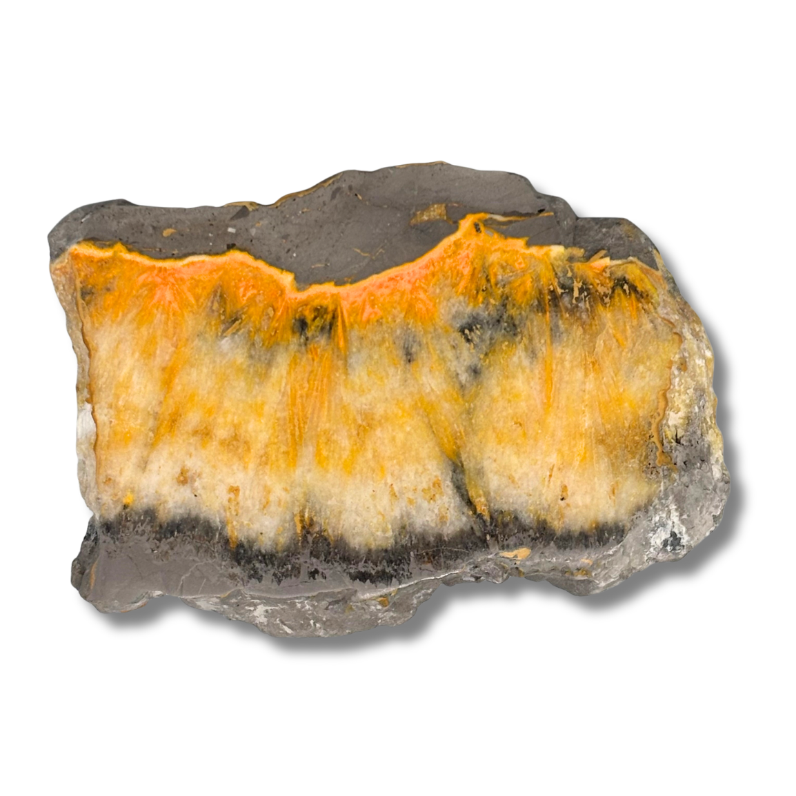 Bumblebee Jasper Slab