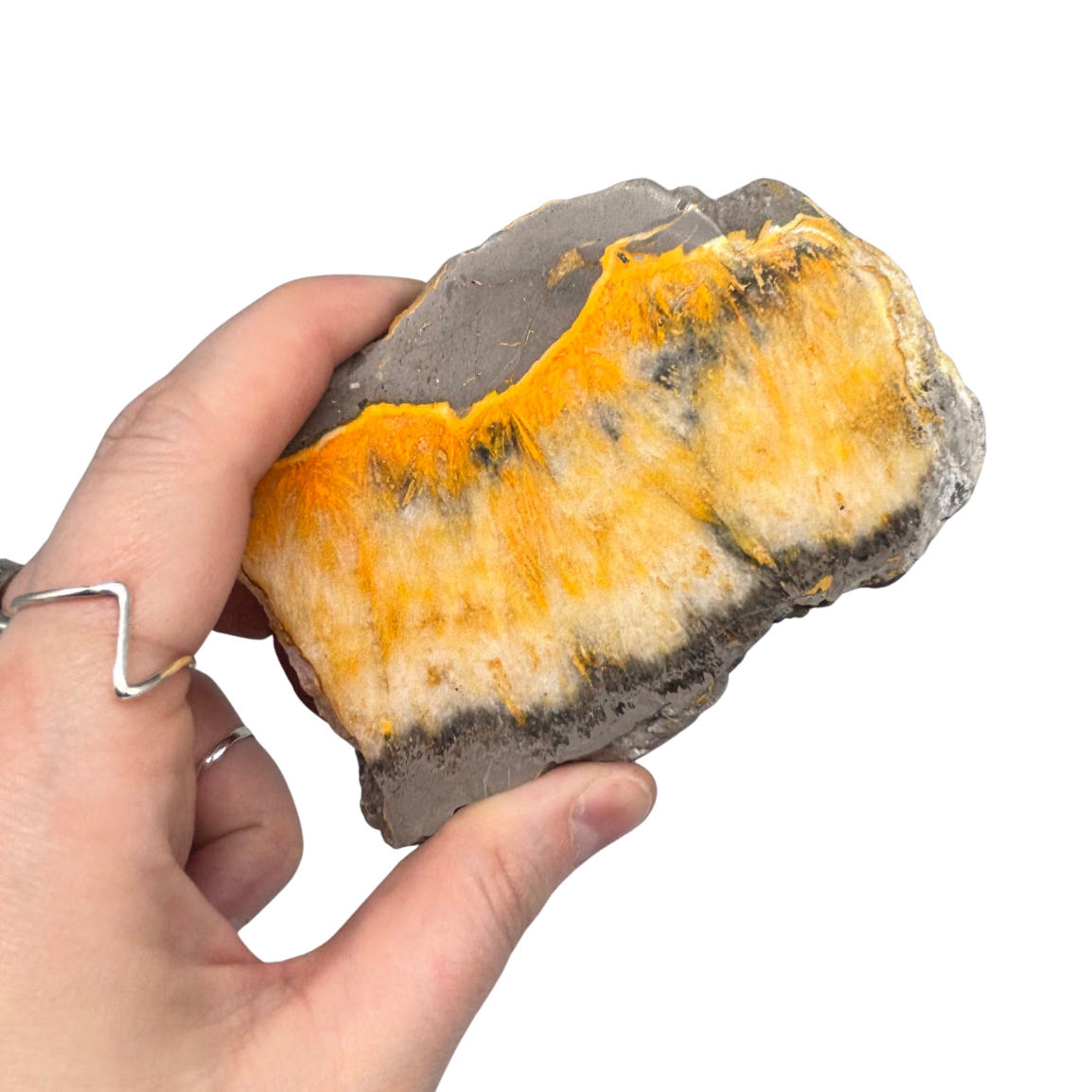 Bumblebee Jasper Slab