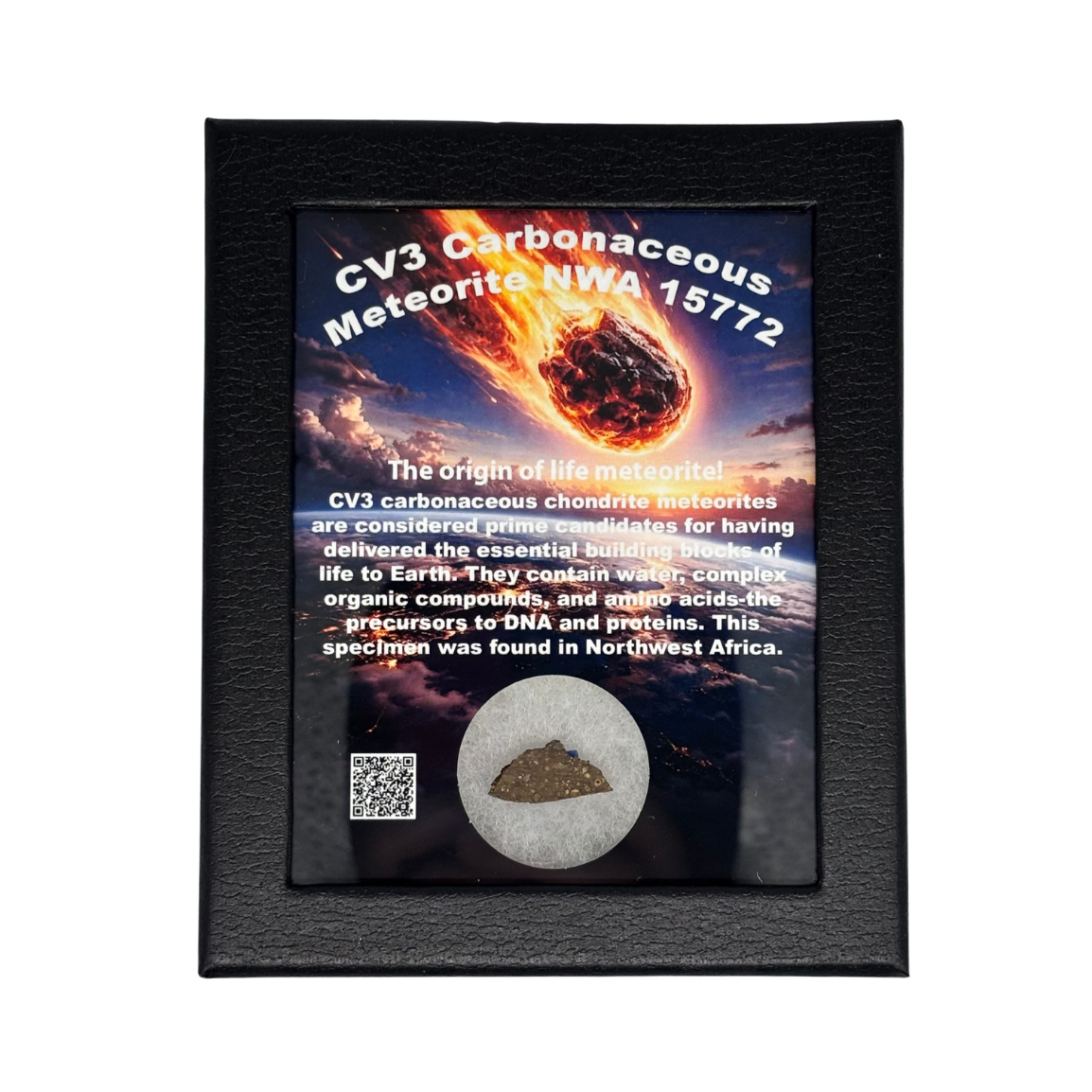 CV3 Carbonaceous Meteorite Box