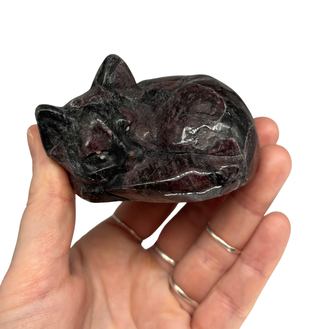 Garnet in Black Tourmaline Cat