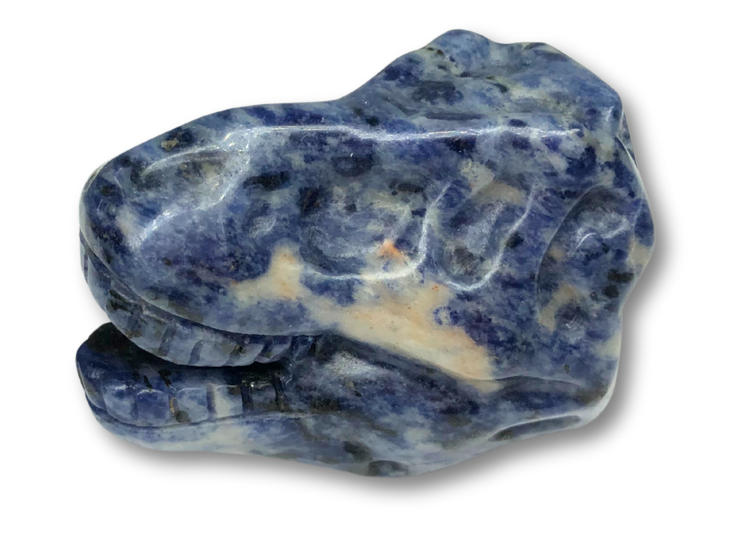 Mini Gemstone T-Rex Skull $24.00