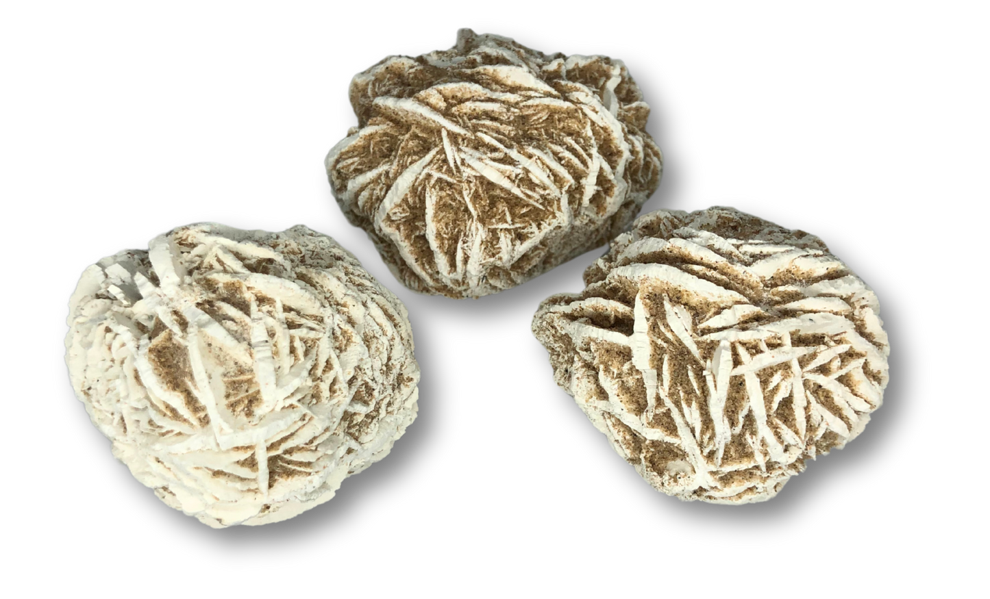 Desert Rose $15.00
