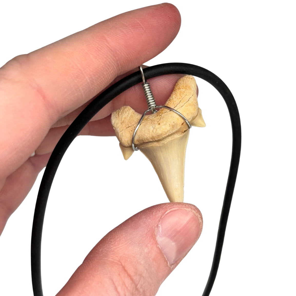Shark Tooth Necklace