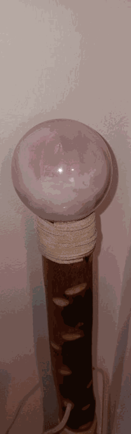 Discover the Magic Within: The Rose Quartz Crystal Ball Walking Stick!