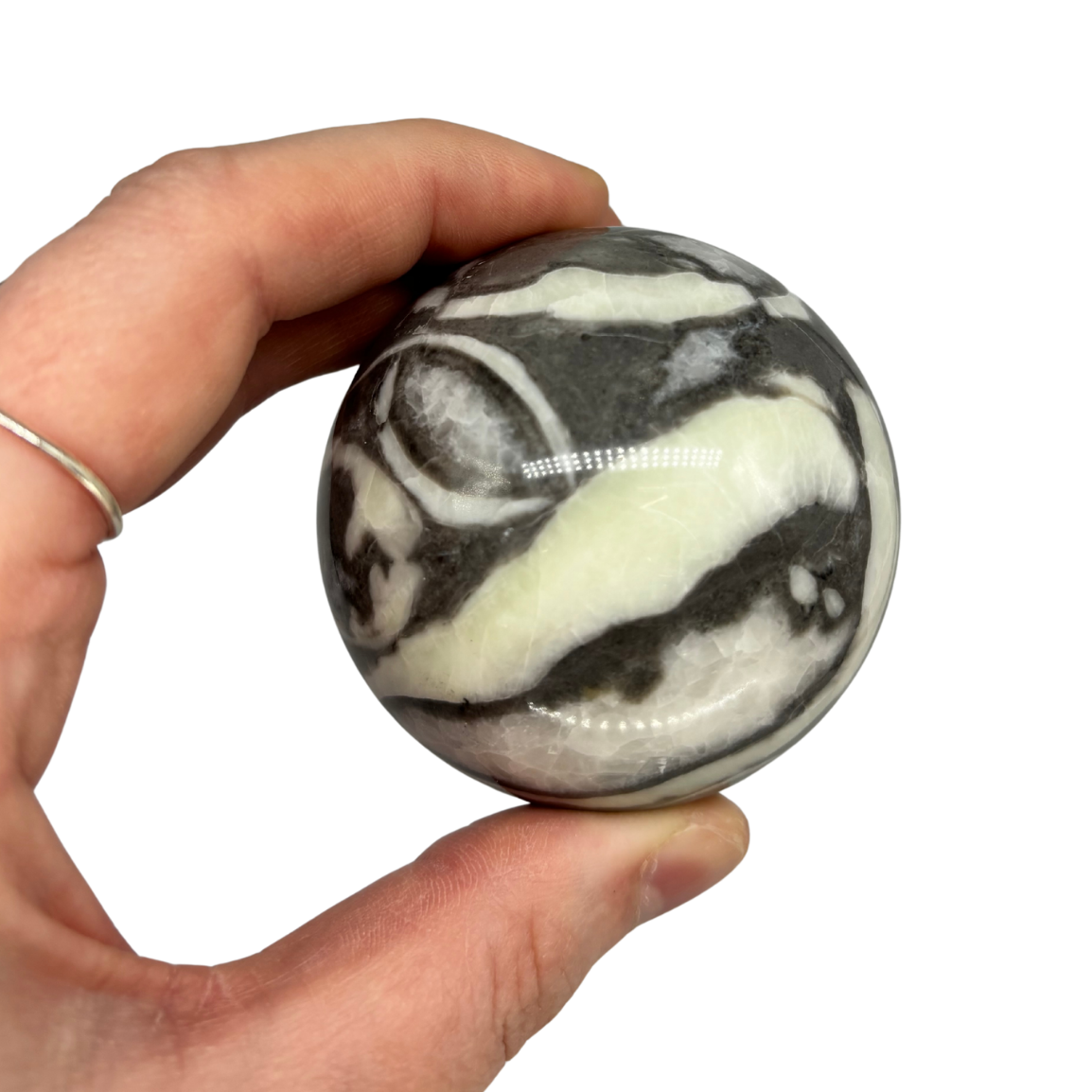 Shell Jasper Sphere $47.99
