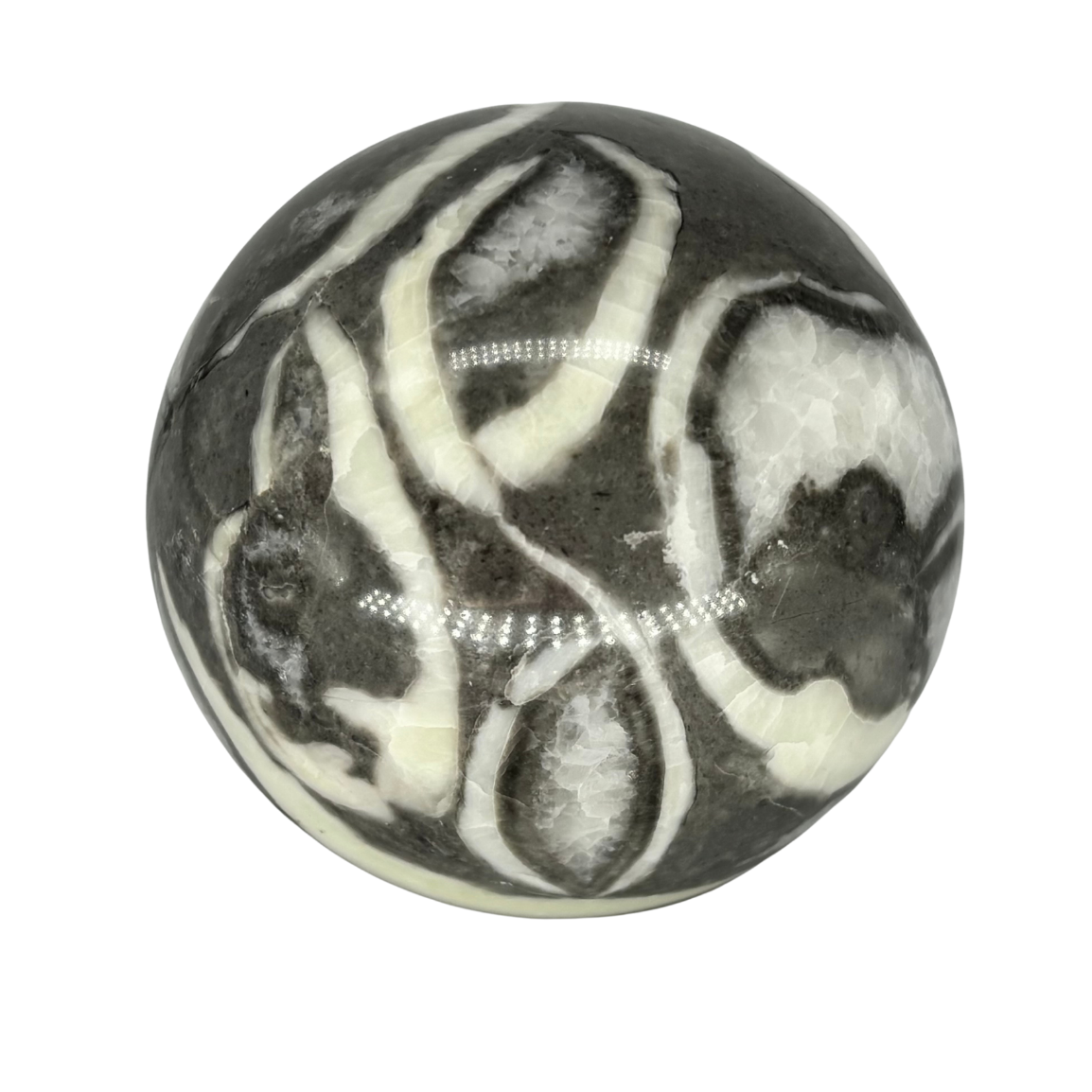 Shell Jasper Sphere $47.99