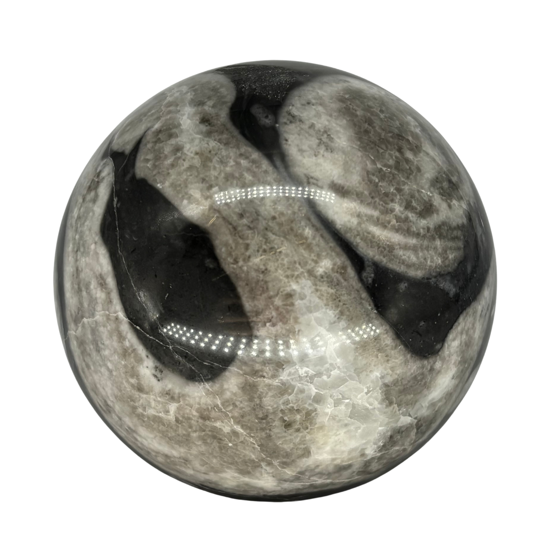 Shell Jasper Sphere $47.99