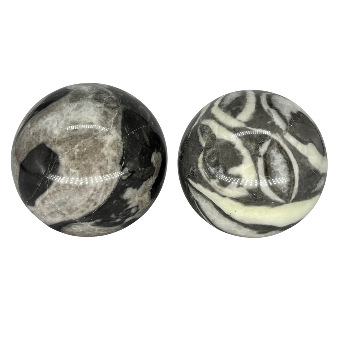Shell Jasper Sphere $47.99