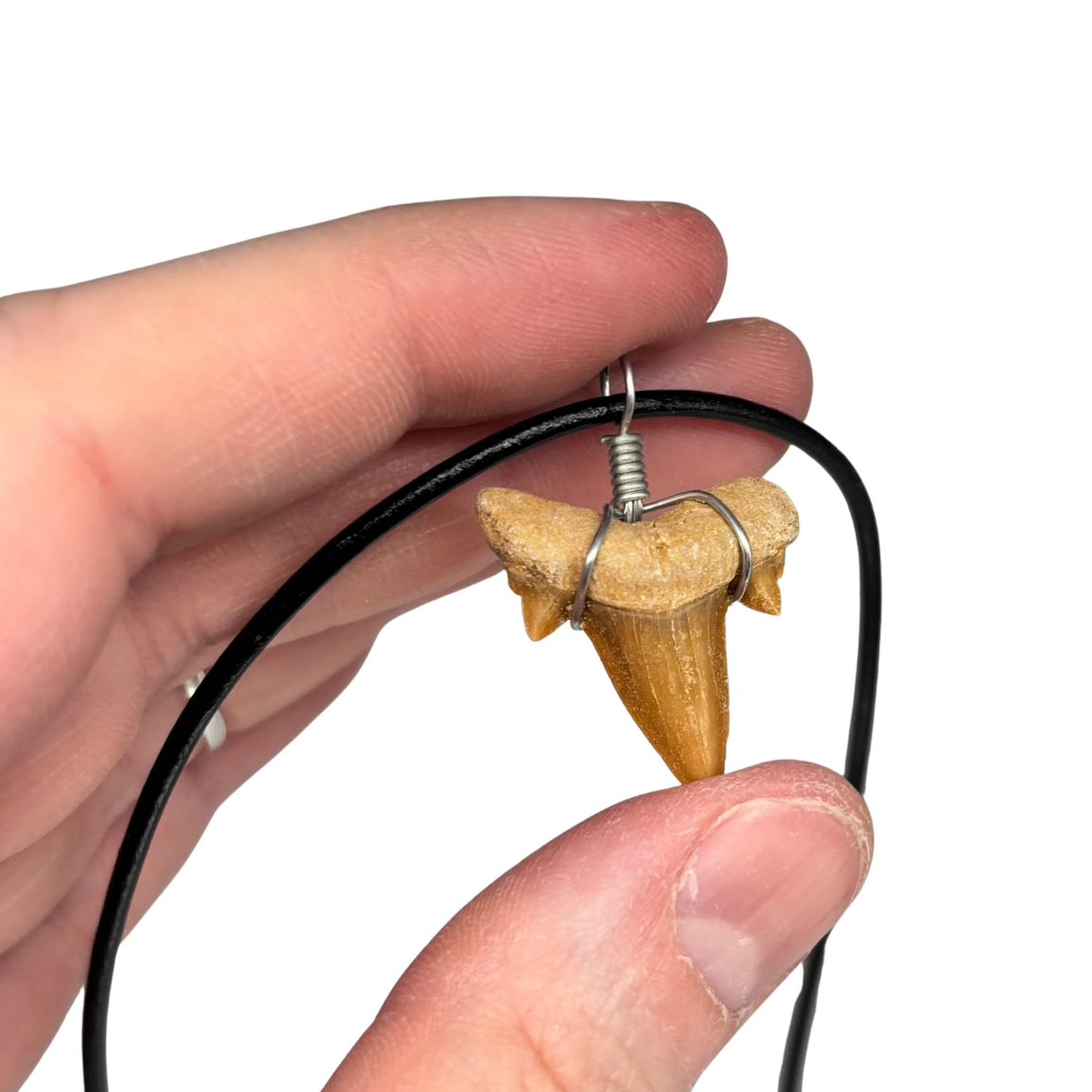 Shark Tooth Necklace