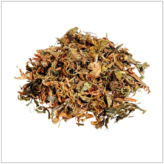 Alfalfa Leaf