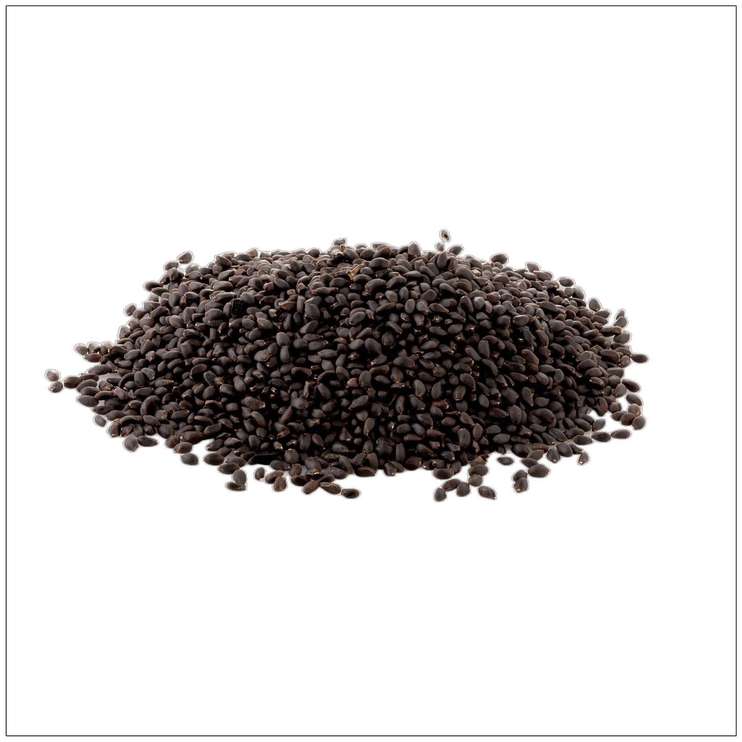 Basil Seeds