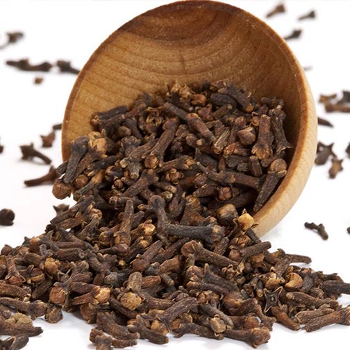 Spices & Herbs – For Ritual and Spell Work -- by Moon Water Apothecary!